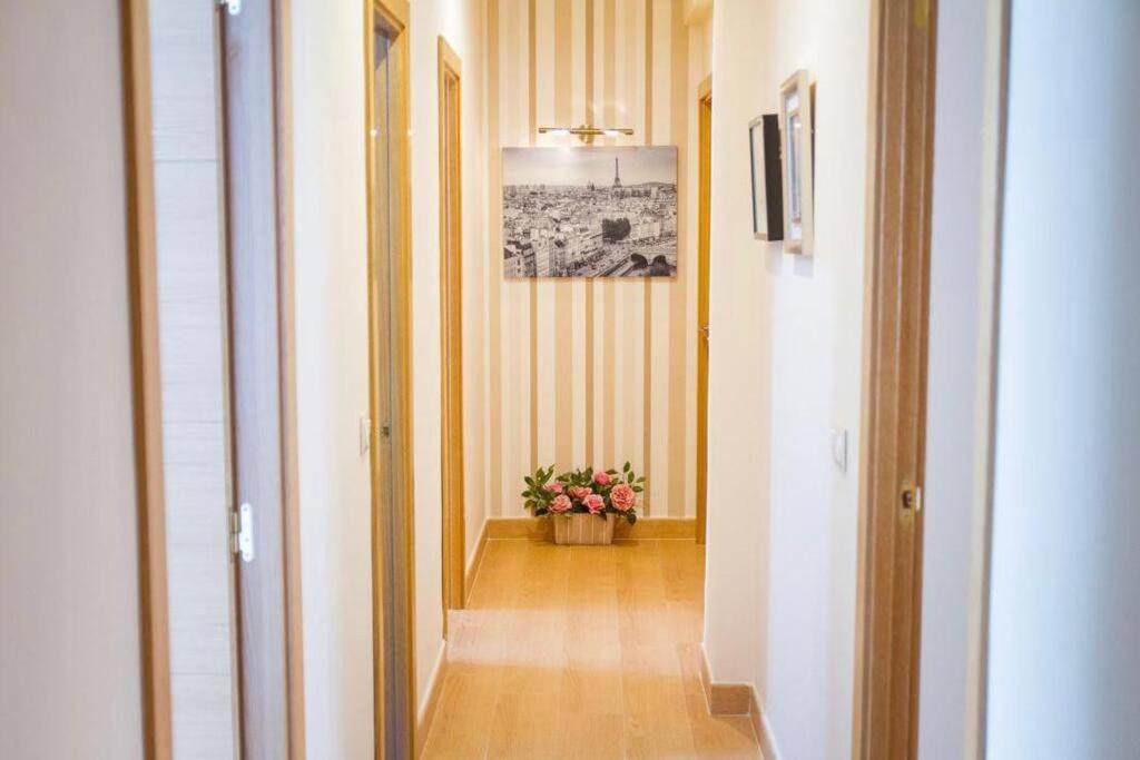 Apartment Piso Junto A La Catedral, 4-5 Personas Malaga